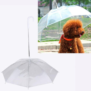 Transparent Pet Umbrella Pet Umbrella With Leash